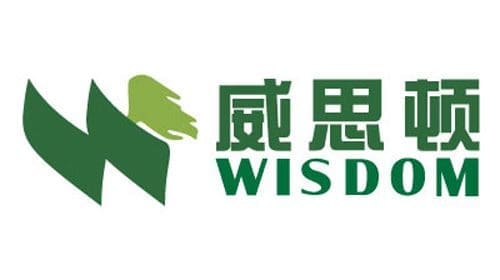 Yantai Dongfang Wisdom Electric Co., Ltd. Logo Yantai Dongfang Wisdom Electric Co., Ltd. Logo
