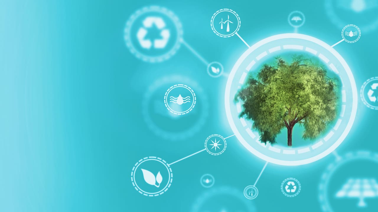 Environmental sustainability image. A tree surrounded by sustainability icons such as recycling, reusing items, and solar power.