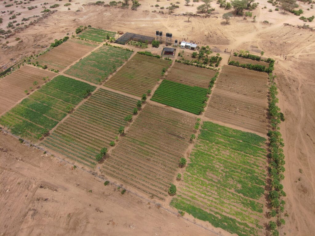 Aerial drone image of the Natoot Farm in Northern Kenya.