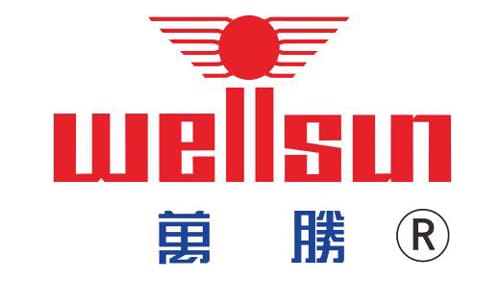Zhejiang Wellsun Intelligent Technology Co., Ltd. Logo