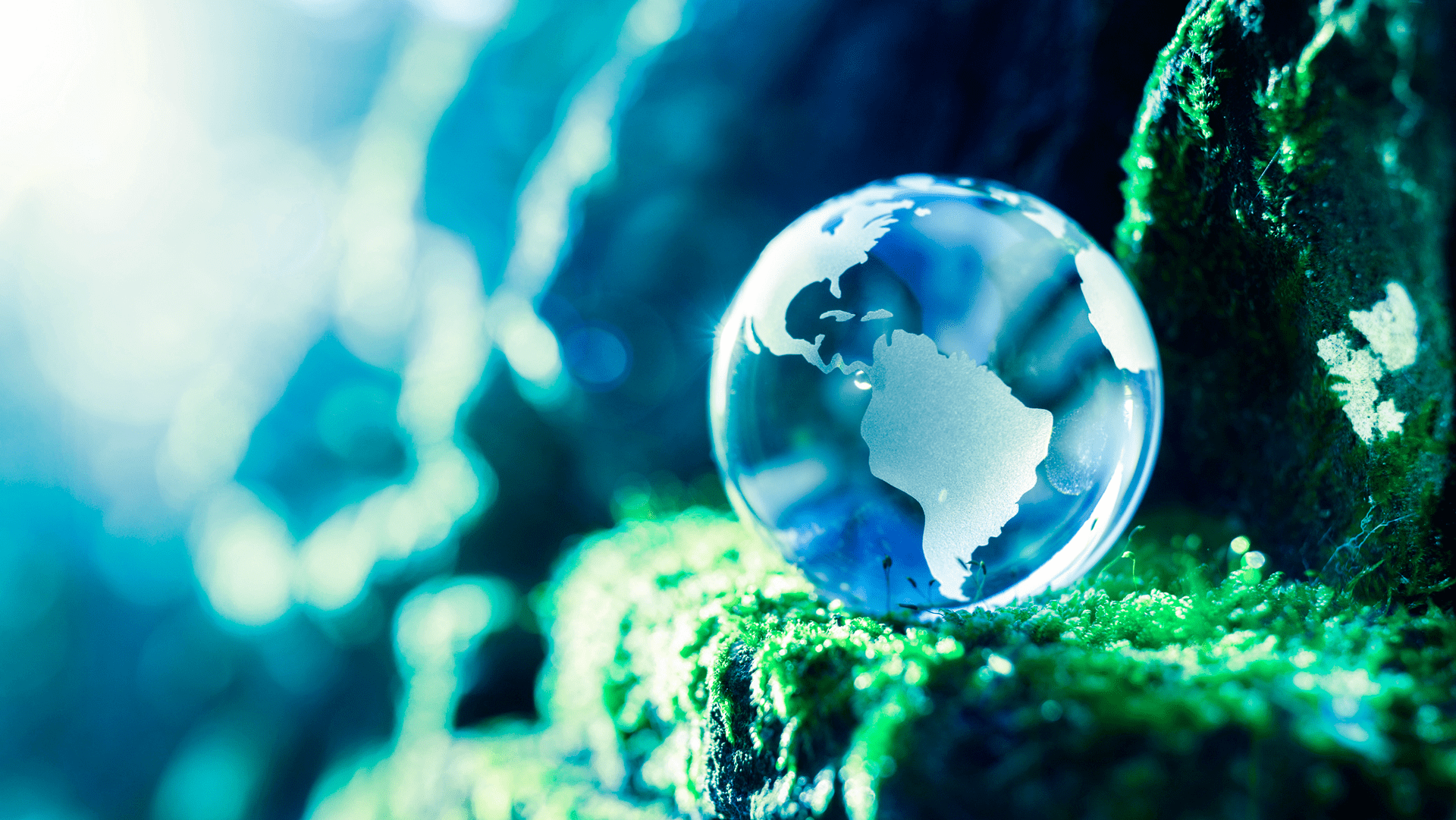 India-and-Sustainability-Standards-1920x1080